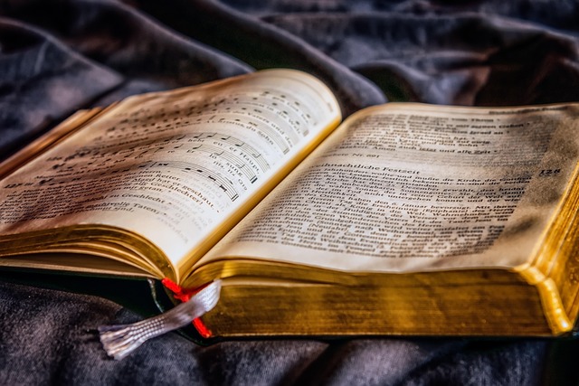 Troubleshooting Leather Covers & Spine Tooling : Diagnosing and Fixing Problems